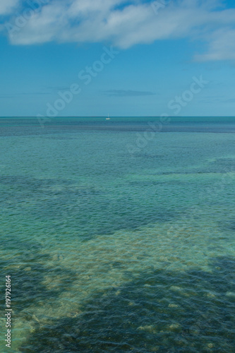 USA, Florida, Algae and clear blue water at florida keys with blue sky