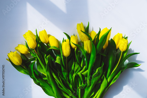 overhead view bouquet of yellow tulips on white background with shadows. day light