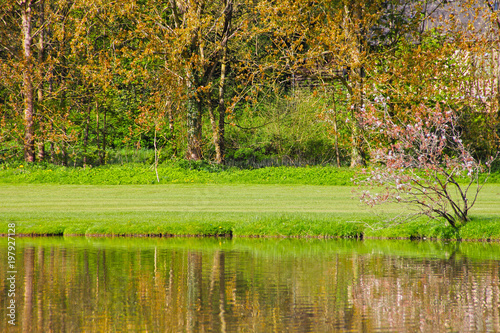 Beautiful spring landscape photo