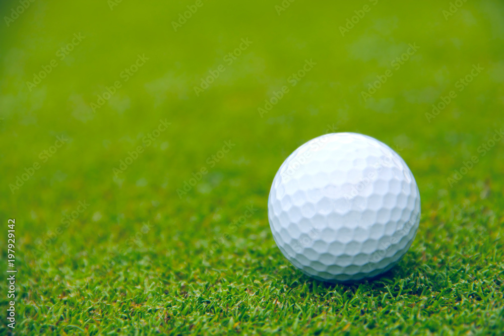 Golf ball on course Golf ball on course