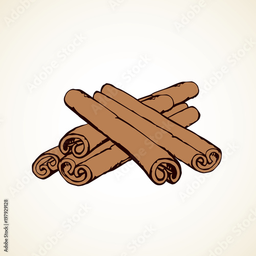 Cinnamon. Vector drawing