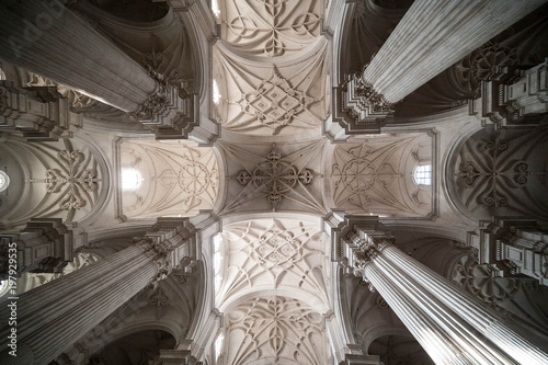 detail of the ceiling of the cathedral country