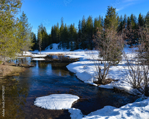 Colorful creek with snow bank in forest