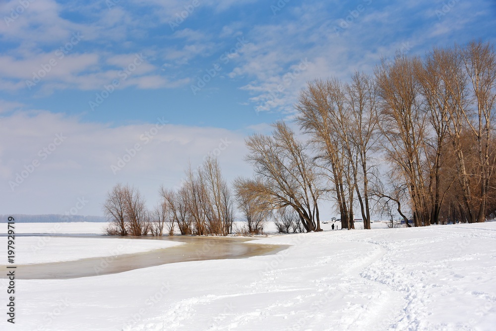 Trees on the shallows of a frozen river. Winter sunny day. Ice and snow. Trees on the shallows of a frozen river. Winter sunny day. Ice and snow.