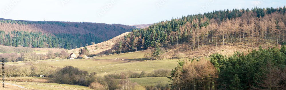 Fototapeta premium Gribdale, Kildale, North Yorkshire. UK
