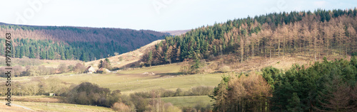 Gribdale  Kildale  North Yorkshire. UK