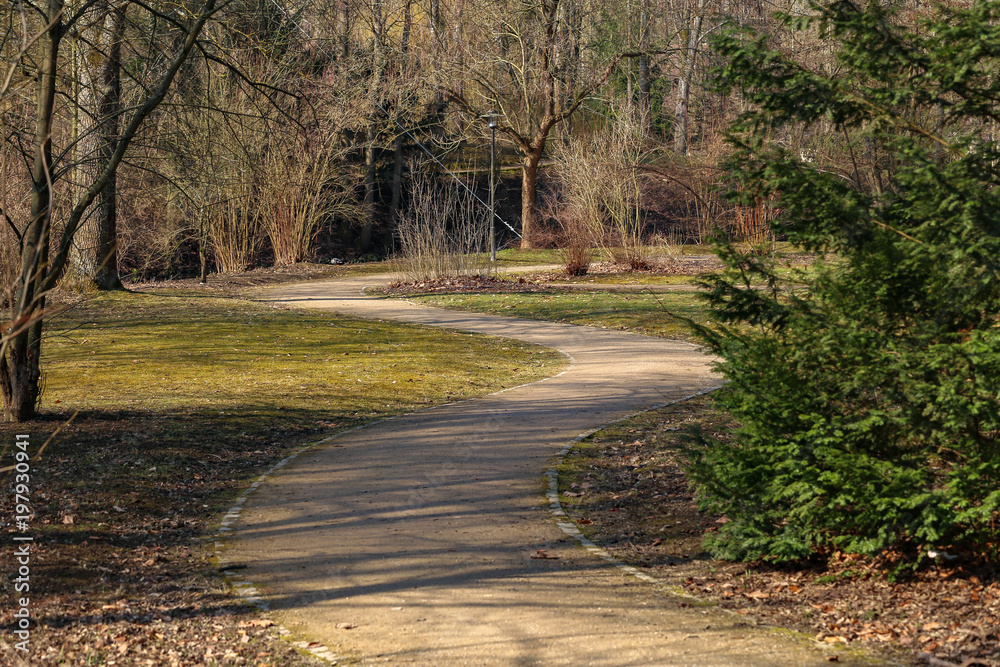 Fototapeta premium Footpaths in the park