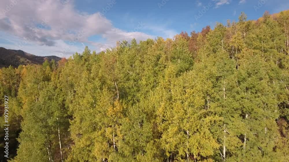 Reveal mountain low over aspen tops aerial, drone, 4k, rocky mountains, amazing, autumn, colorful, colors, fall, fiery, forest, green, landscape, leaves, orange, red, trees, aspen, yellow, colorado, Reveal mountain low over aspen tops aerial, drone, 4k, rocky mountains, amazing, autumn, colorful, colors, fall, fiery, forest, green, landscape, leaves, orange, red, trees, aspen, yellow, colorado,
