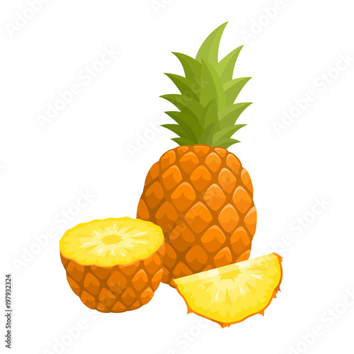 Bright vector illustration of fresh pineapple isolated on white