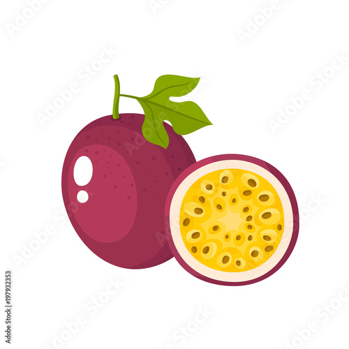 Bright vector illustration of fresh passion fruit isolated on white
