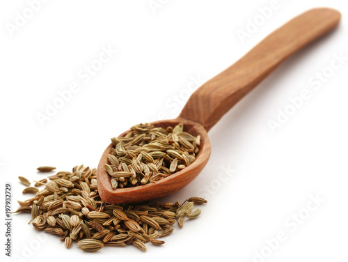 Fennel seeds