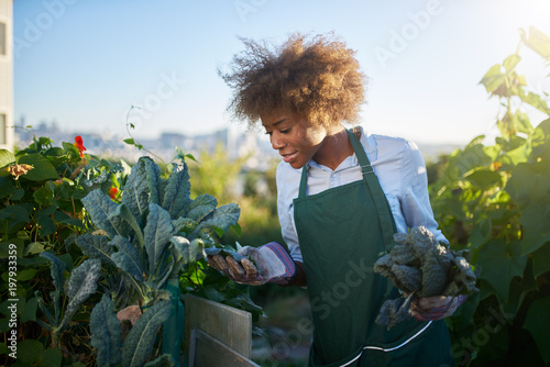 african american woman tending to kale in communal urban garden photo