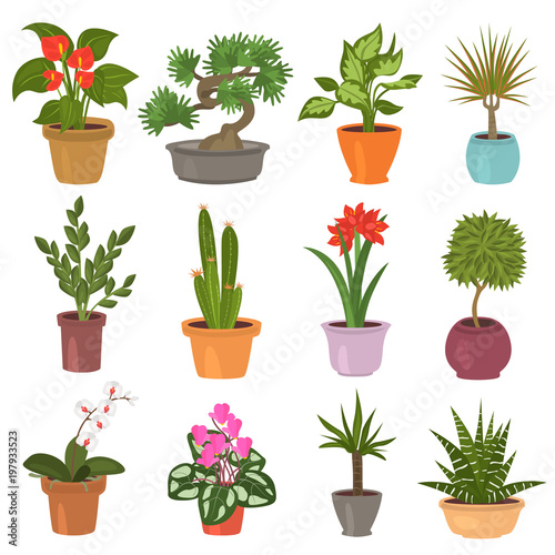 Home flower flat icon set