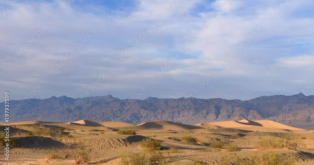Mesquite dunes in Death Valley, California, USA Mesquite dunes in Death Valley, California, USA