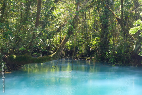 Amazingly blue laguna