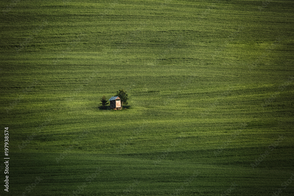 Rolling hills of green wheat fields. Amazing fairy minimalistic landscape with waves hills, rolling hills. Abstract nature background. South Moravia, Czech Republic Rolling hills of green wheat fields. Amazing fairy minimalistic landscape with waves hills, rolling hills. Abstract nature background. South Moravia, Czech Republic