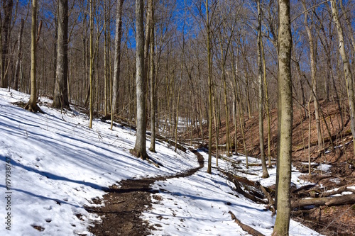 Scenic winter landscape of a hiking trail in the snow