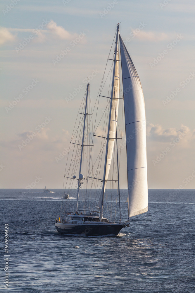 Fototapeta premium Sailboat sailing in the evening