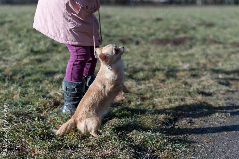 Young gril playing with her dog outside on a field