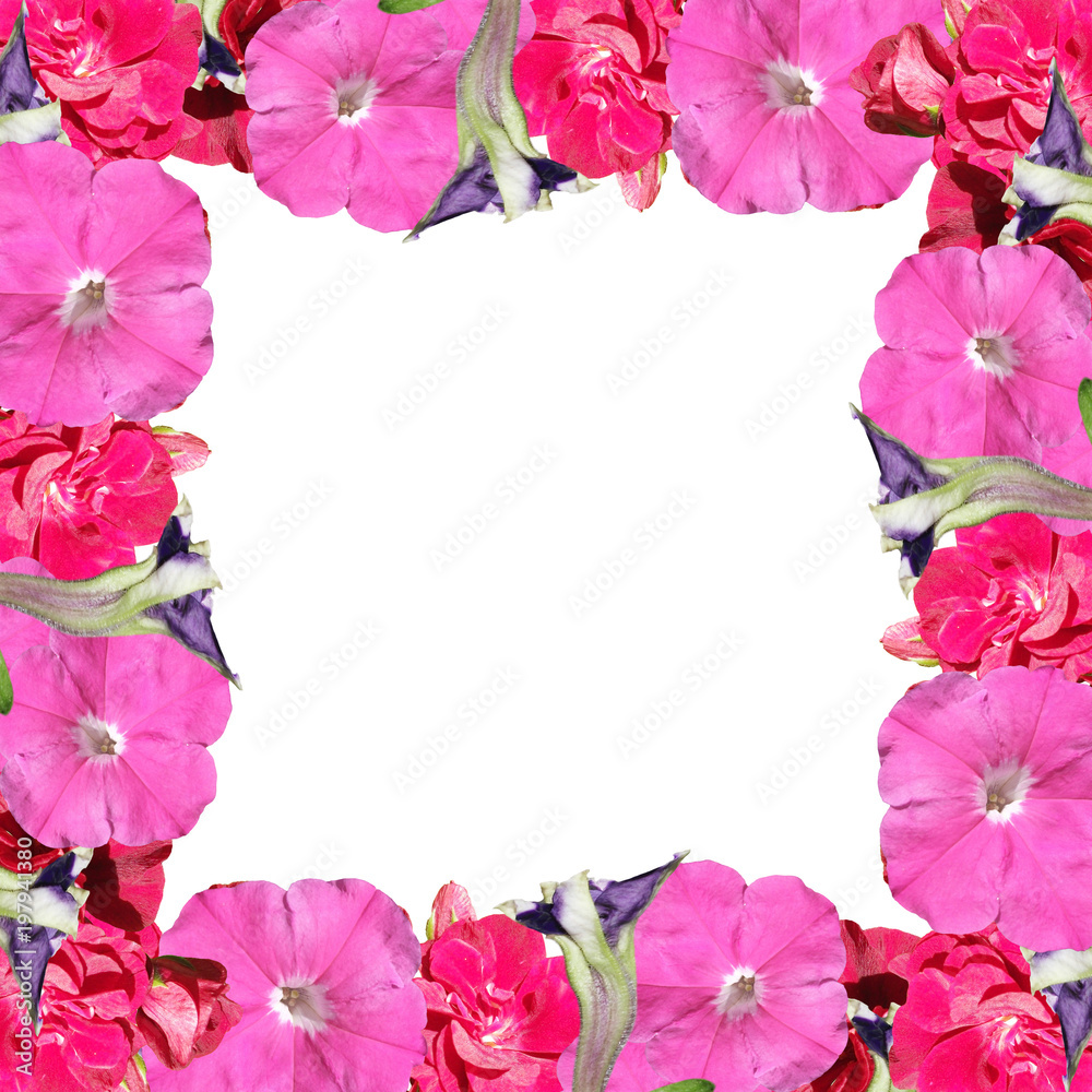 custom made wallpaper toronto digitalBeautiful floral background of petunias and pelargoniums
