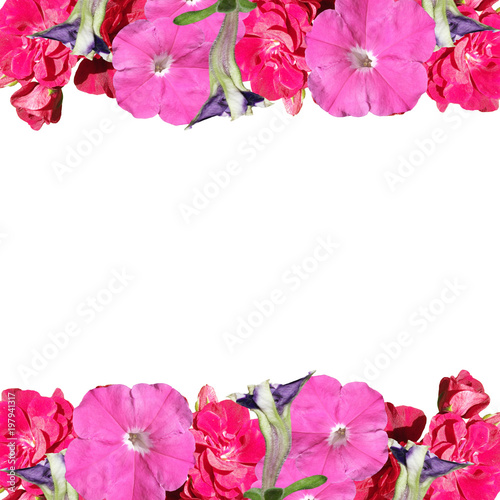Fototapeta Naklejka Na Ścianę i Meble -  Beautiful floral background of petunias and pelargoniums 