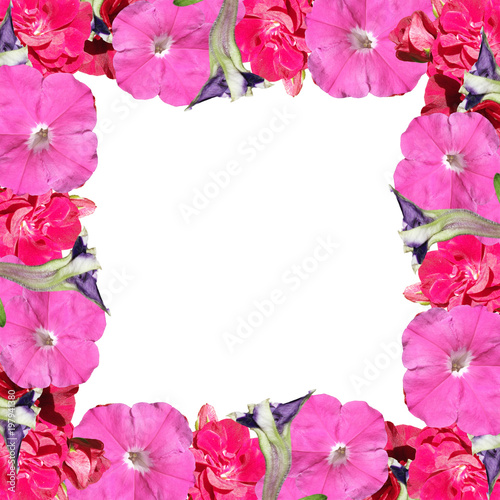Fototapeta Naklejka Na Ścianę i Meble -  Beautiful floral background of petunias and pelargoniums 