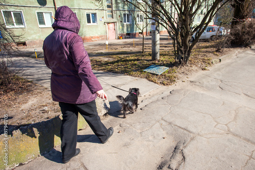 a woman is walking a small dog