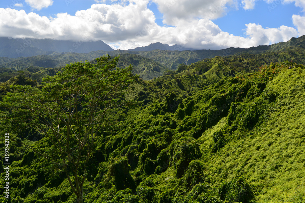Obraz premium Kauai island