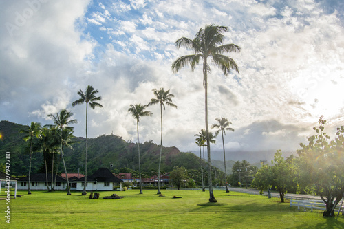 Kauai island © Yannick Golay