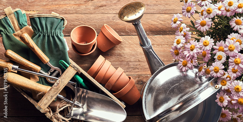 Foto Gardening theme with flowers, pots, garden tools