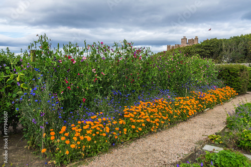 Colorful flowes in the garden of Castle of Mey, Scotland north coast, Britain