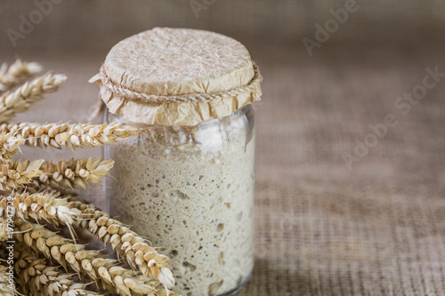 The leaven for bread is active. Starter.sourdough. The concept of a healthy diet