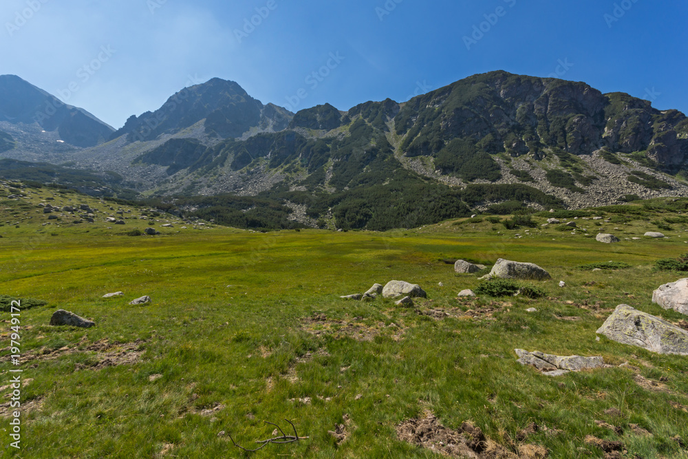 Fototapeta premium Landscape of Begovitsa River Valley and Yalovarnika peak, Pirin Mountain, Bulgaria