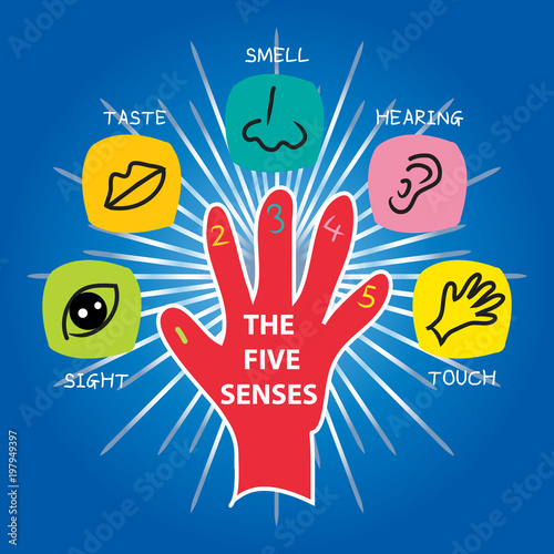 The Five Senses