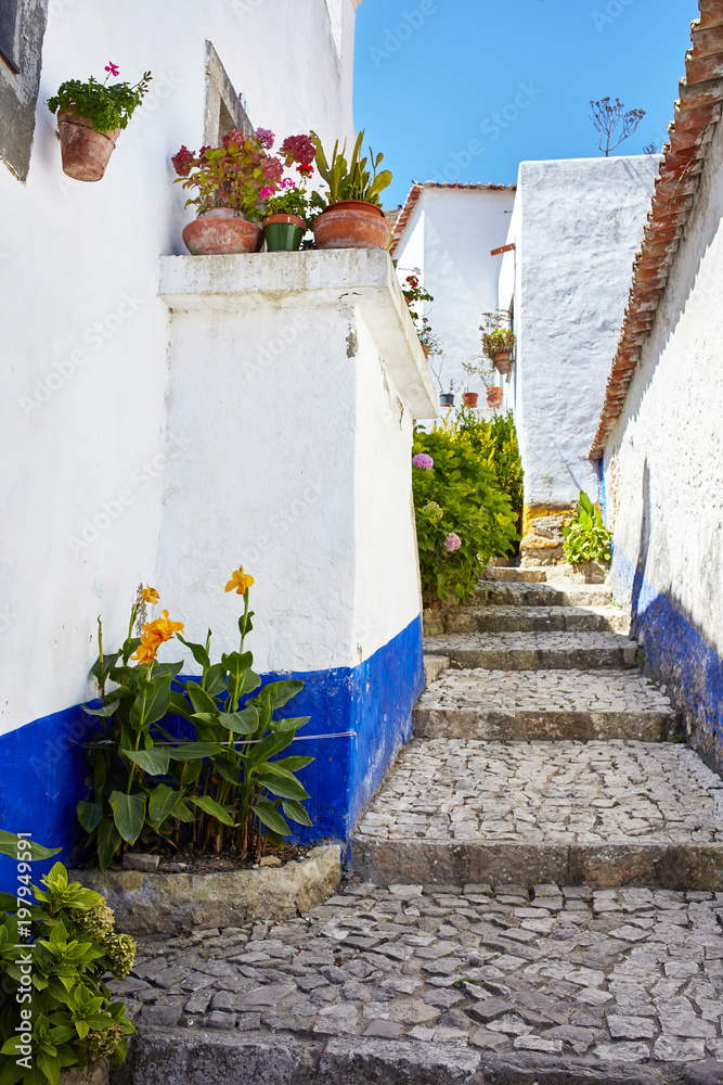 Fototapeta premium Streets of beautiful Obidos, Portugal