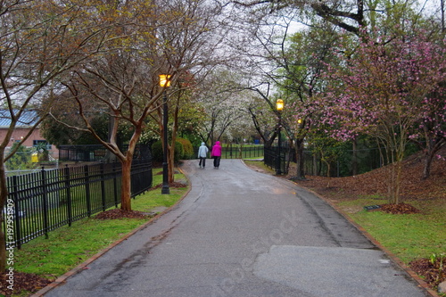Two ladies walking in the rain in a park