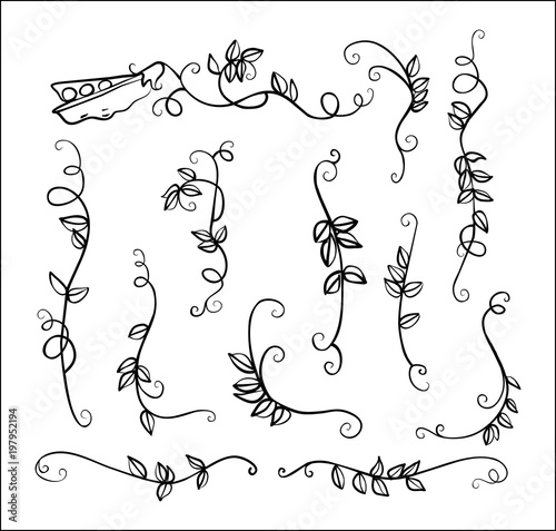 stock big set one-line drawn ornament peas and leaves