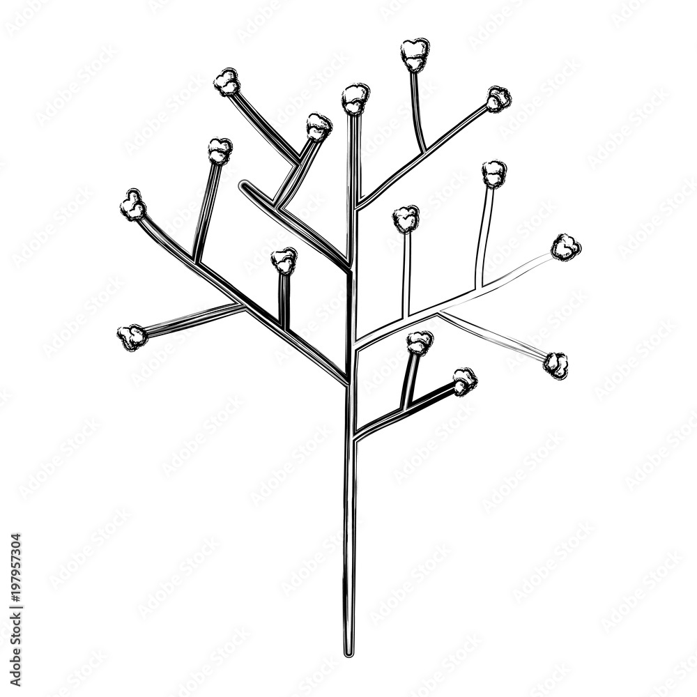 tree branch with seeds vector illustration design