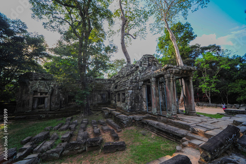 Tempel Ta Phrom- Vom Dschungel überwuchertes Bauwerk der Khmer