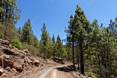 Teneriffa - Pasaje Lunar Wanderweg von Vilaflor photo