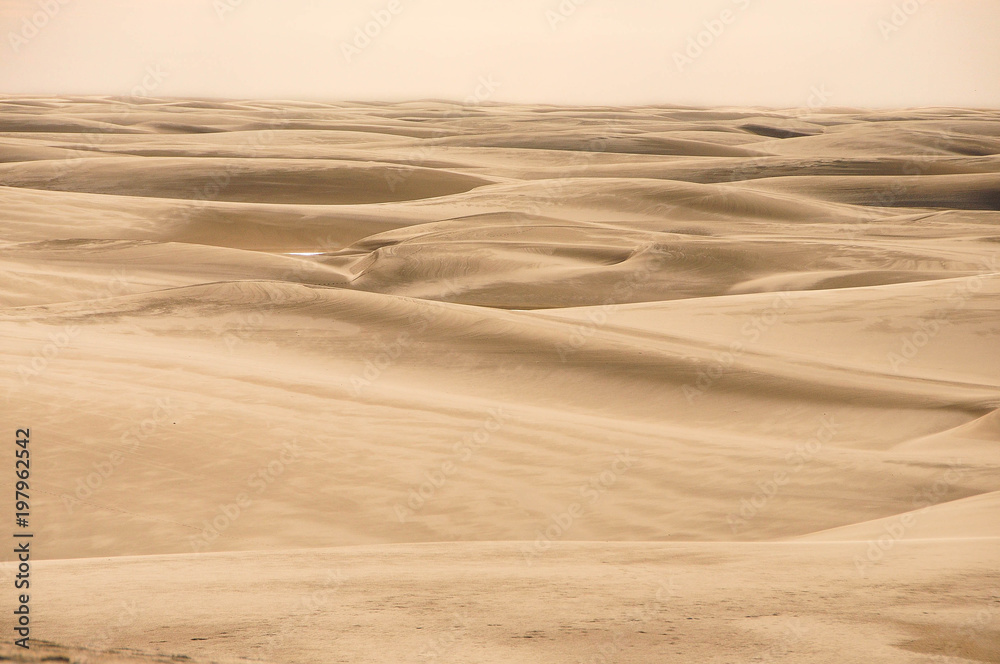 Naklejka premium Shapes of sand dunes at Lençois Maranhenses