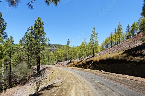 Teneriffa - Pasaje Lunar Wanderweg von Vilaflor photo