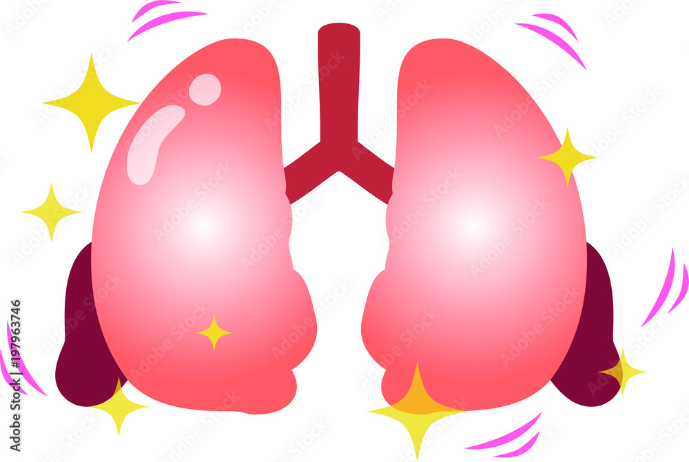 Healthy Lung illustration Healthy Lung illustration