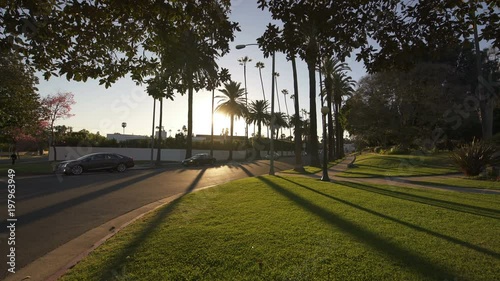 Beverly Hills Sunset Street with Palm Trees