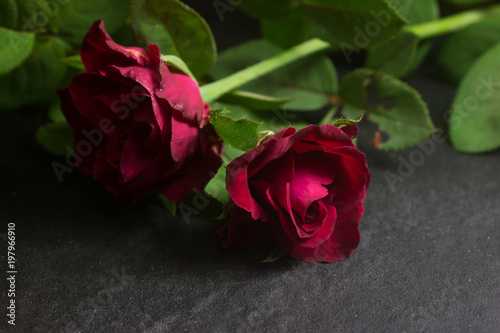 Fototapeta Naklejka Na Ścianę i Meble -  Red rose with green leaf on Black background
