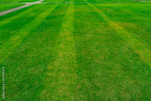 Green grass field with line pattern texture background and walkway