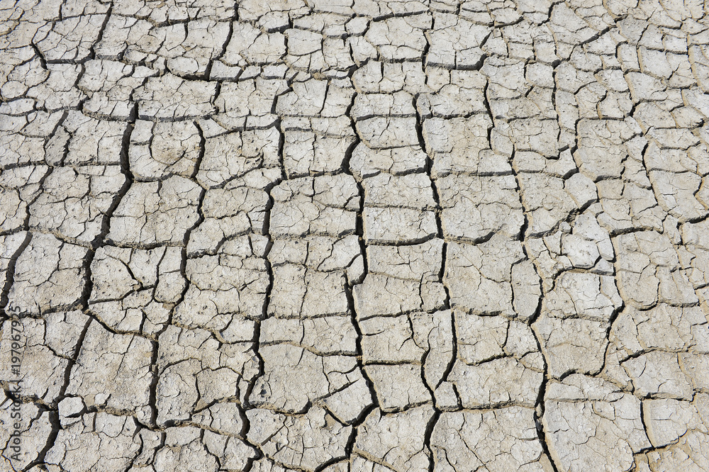The parched soil The parched soil