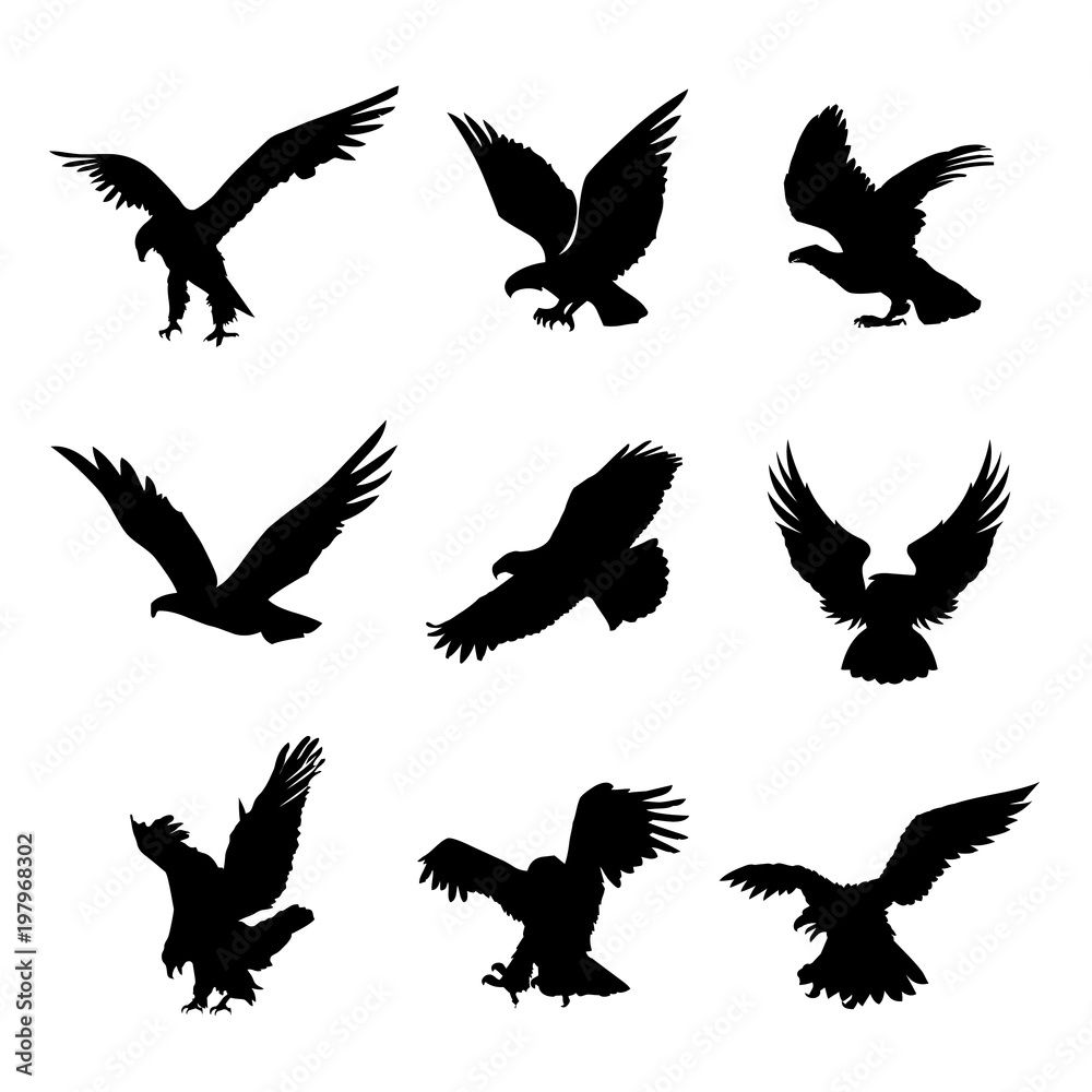 Obraz premium Eagle Falcon Bird Hawk Animal Silhouette Black Icon Flat Design Element Vector Illustration