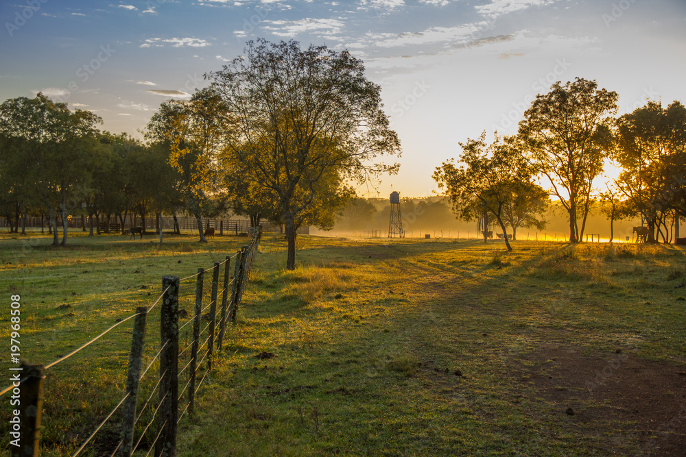 Campo al amanecer Campo al amanecer