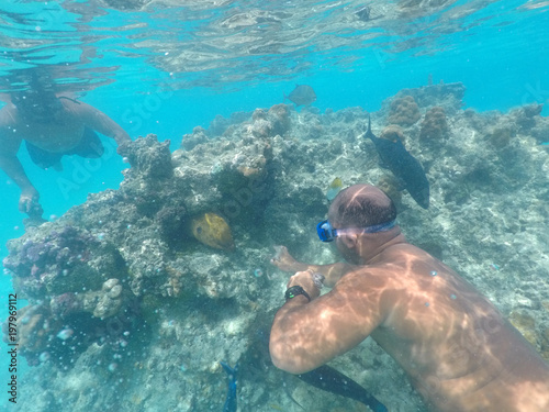 Cook islander men feeding Moray eel in Rarotonga Cook Islands